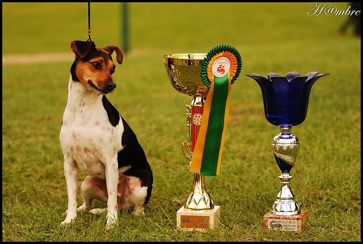 CH. Doce du domaine des Mandets