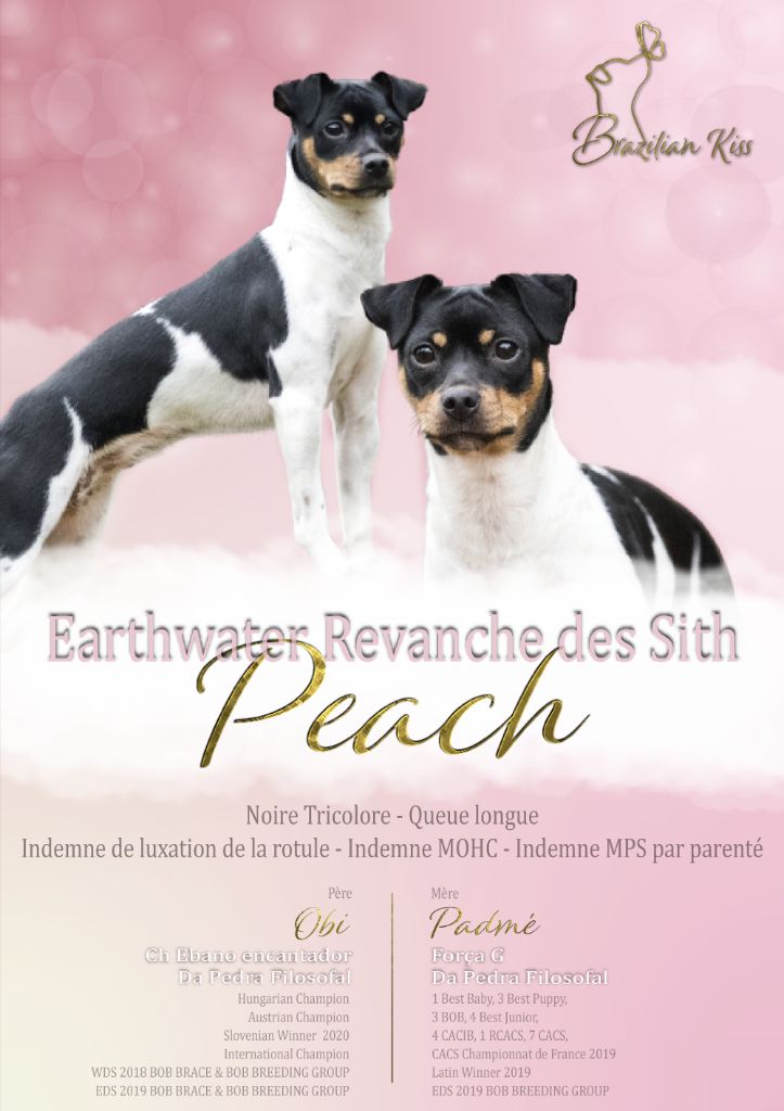 Earthwater Revanche des sith