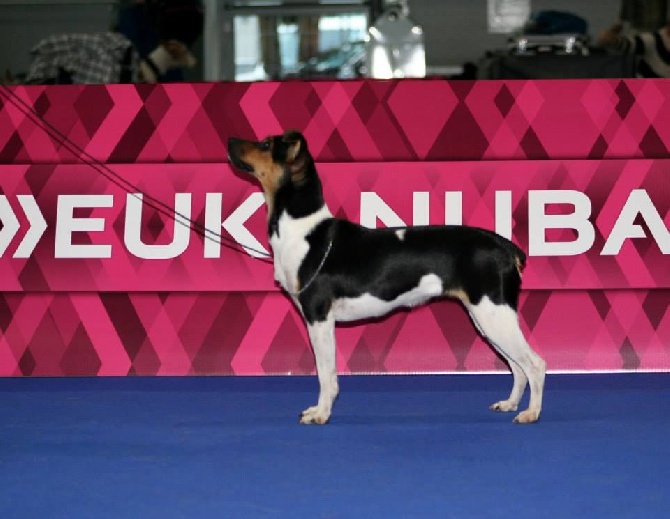 Earthwater - Eurodog Show 2014